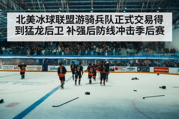 北美冰球联盟游骑兵队正式交易得到猛龙后卫 补强后防线冲击季后赛